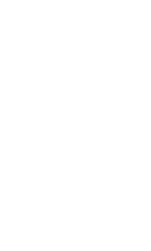 logo blu simple